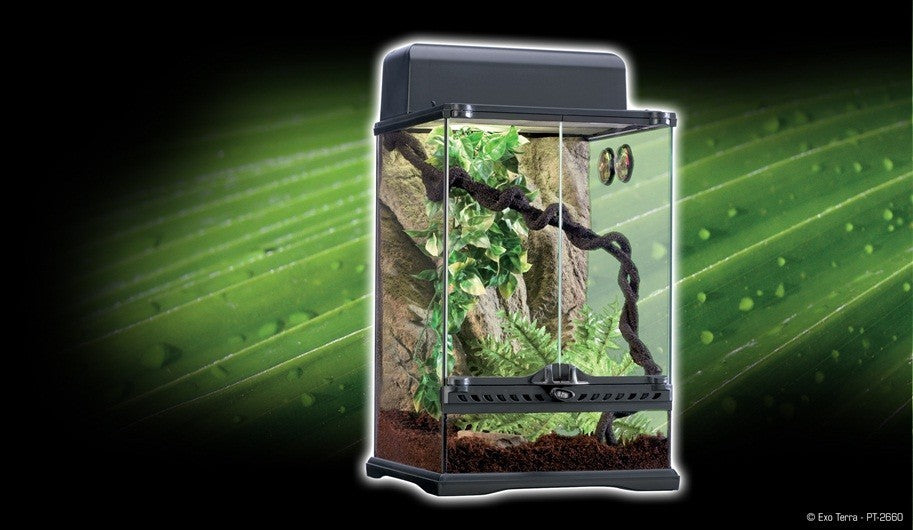 Exo Terra Habitat Kit Tropical, S, 30x30x45cm