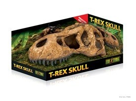 Exo Terra Craneo T-Rex