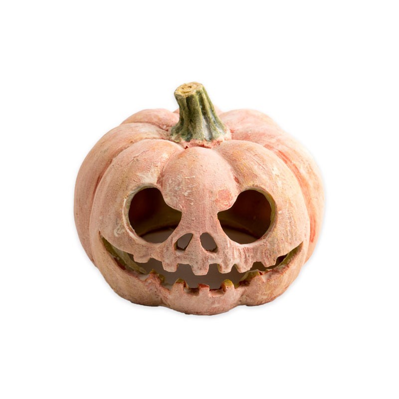 Exo Terra Calabaza Fluorescente