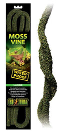 Exo Terra Moss Vine Liana de Musgo, L