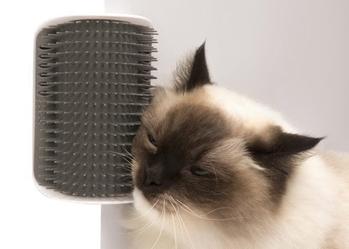 Catit Cepillo de Autocepillado para Gatos