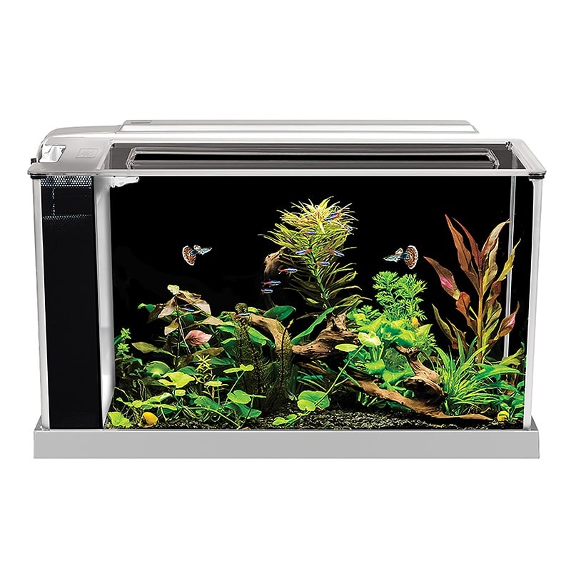 Fluval Spec Nano Acuario Blanco, 19L