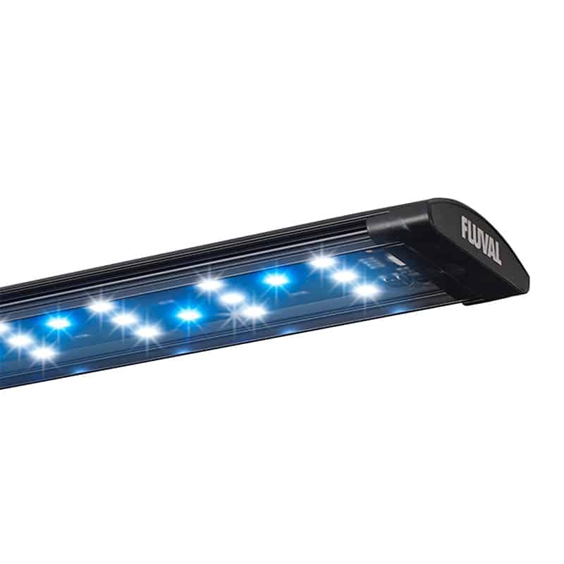 Fluval Spec Nano Acuario Negro, 60L