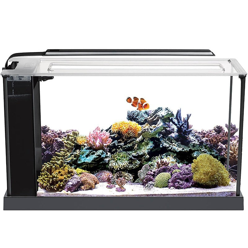 Fluval Evo Acuario Marino, Negro, 19L