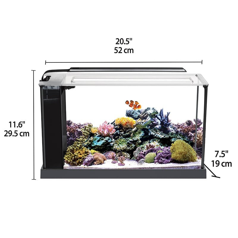 Fluval Evo Acuario Marino, Negro, 19L
