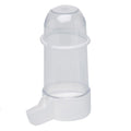 Blister Bebedero Tubo 250 Picopato