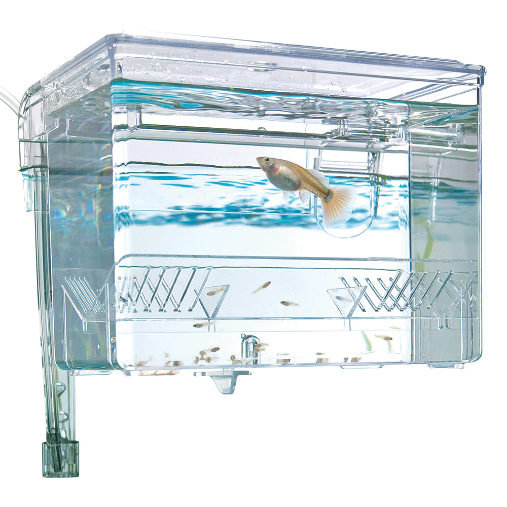 Fluval Breeding Box M, 1,2 L