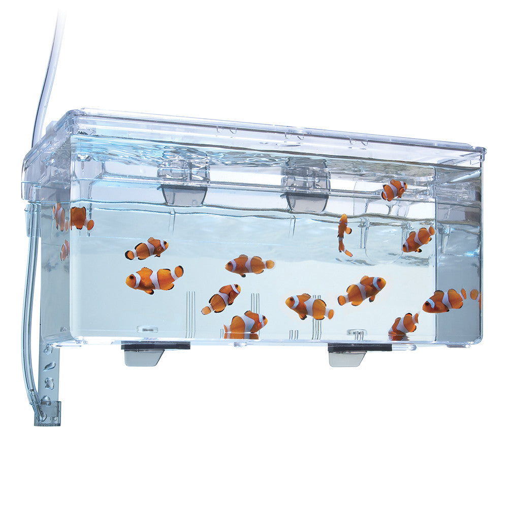 Fluval Breeding Box L, 2L