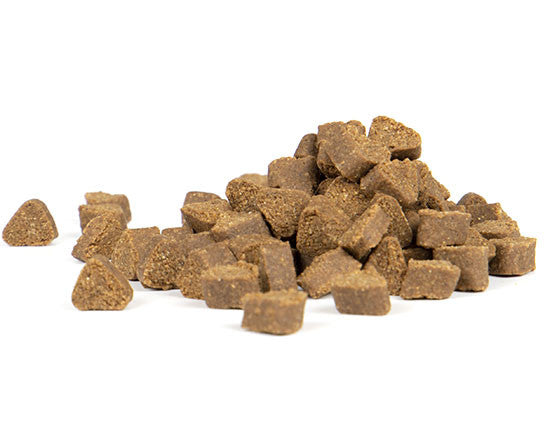 Alimento Completo Perros Adultos - Pack de 4 unidades