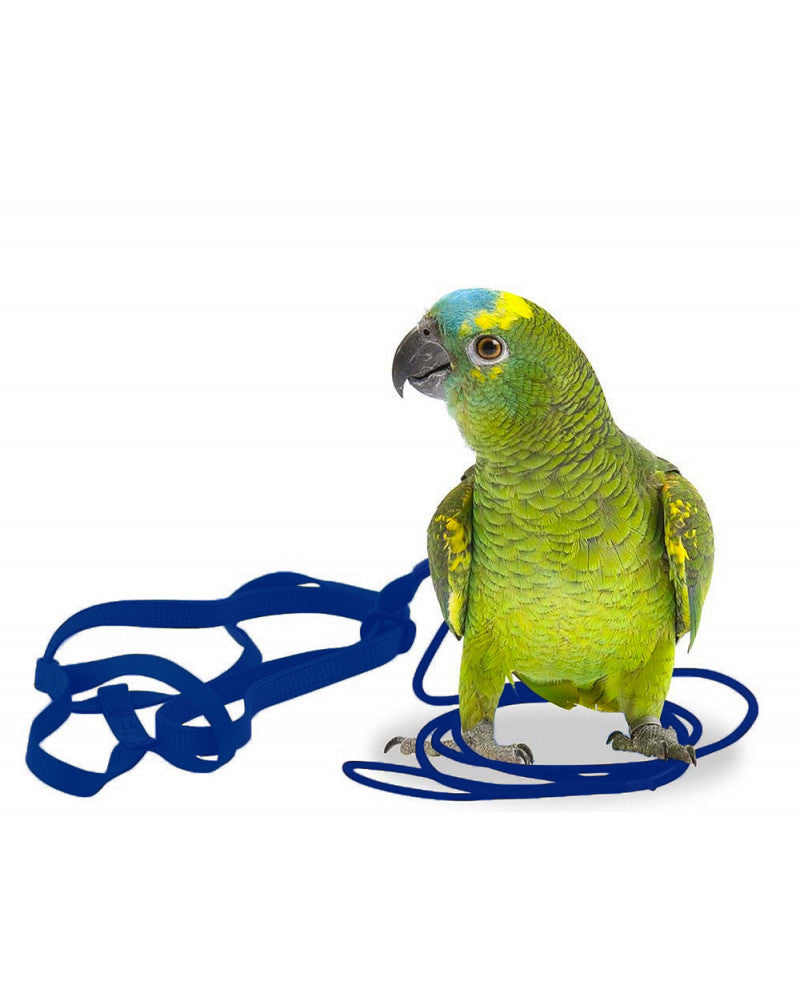 Arnes Aviator para pájaros