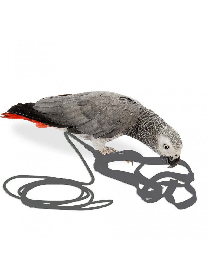 Arnes Aviator para pájaros