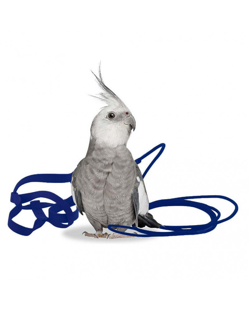 Arnes Aviator para pájaros