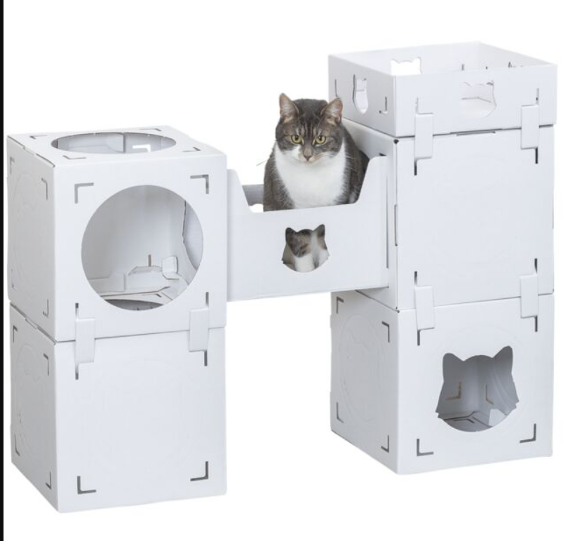Casa Cara para gatos