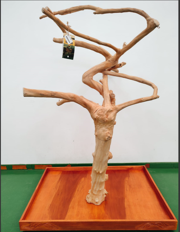 Árbol de Java Tree Al New