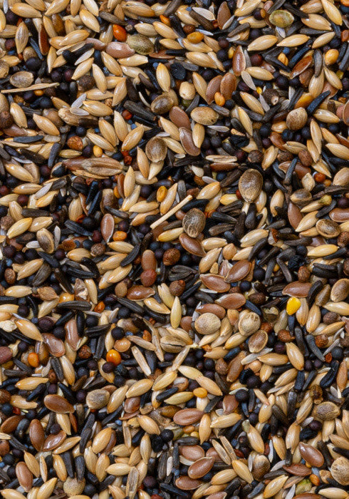 Mixtura para Lúganos y Jilgueros Premium