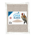 Chia Blanca Fortebird
