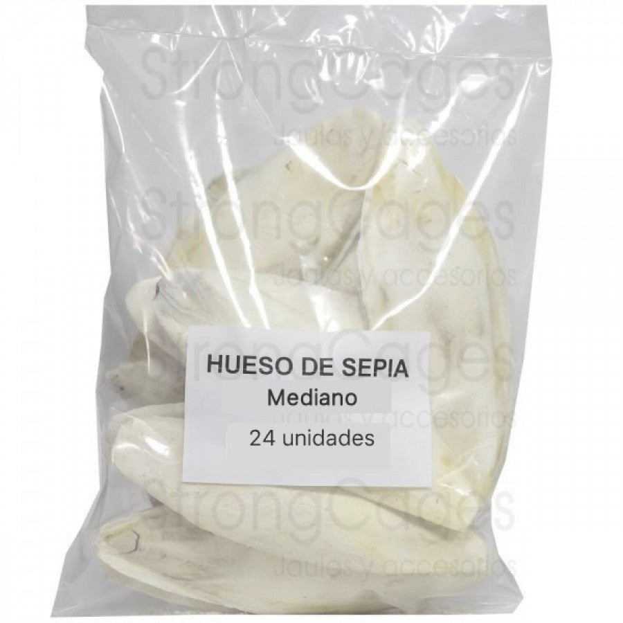 Hueso de sepia mediano 24 ud