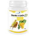 Diente de León | Betacaroteno y Vitamina A