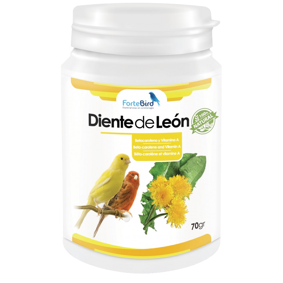 Diente de León | Betacaroteno y Vitamina A