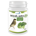 Brocoli - Rico en proteínas y minerales para aves