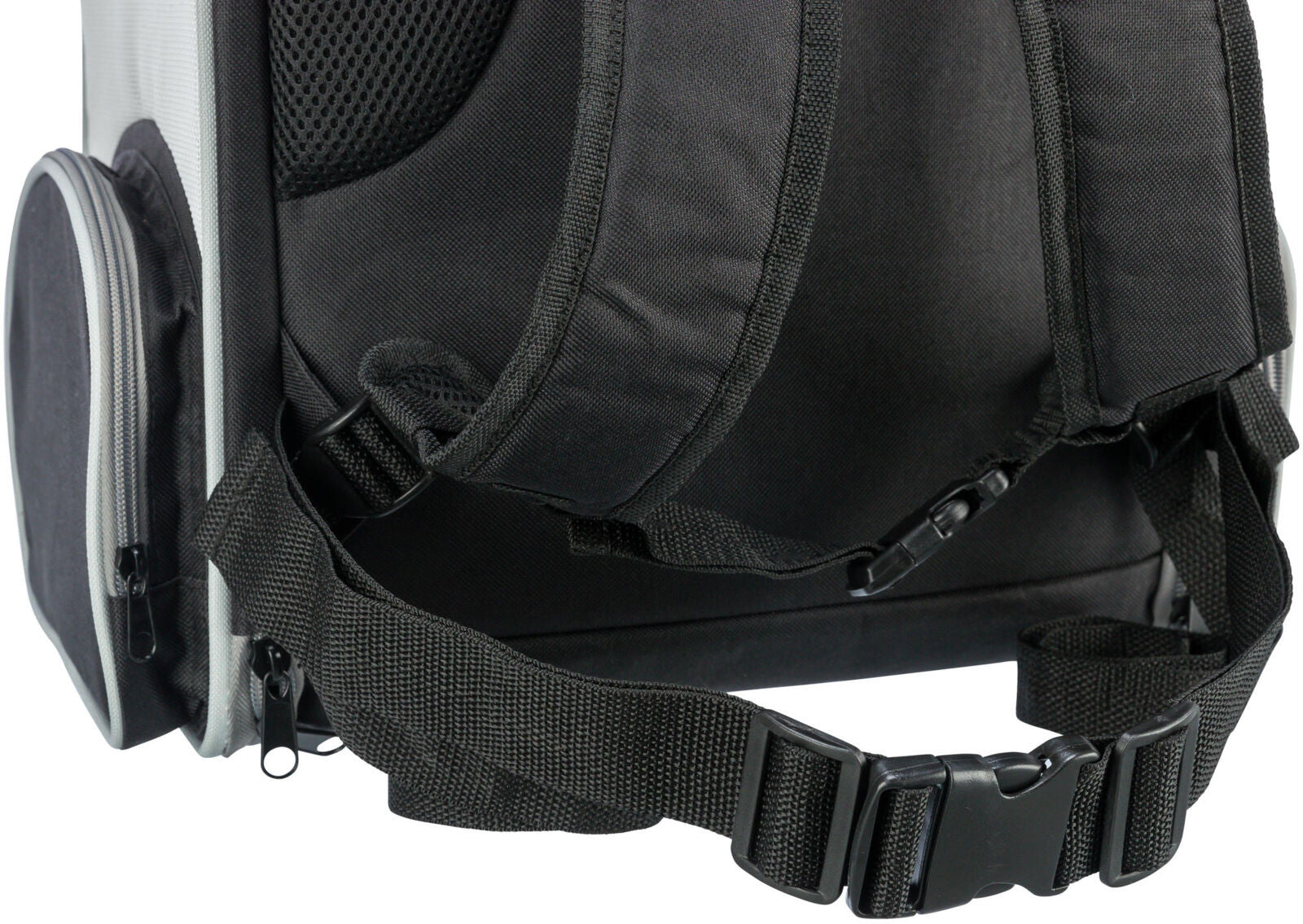 Mochila para perros Chloe