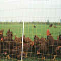 Malla Eléctrica para Aves 1,05 x 50 m