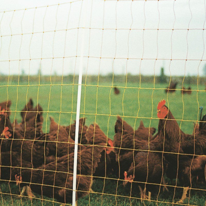 Malla Eléctrica para Aves 1,05 x 50 m