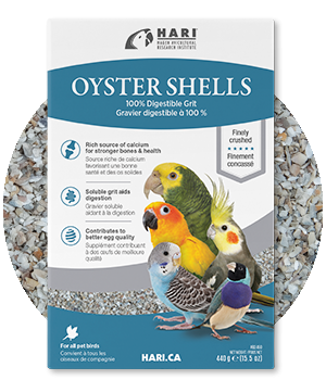 Hari Oyster Shells 440 g (Conchas)