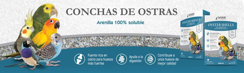 Hari Oyster Shells 440 g (Conchas)