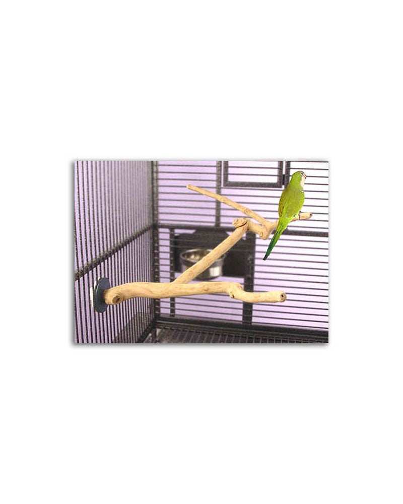 Java Multibranch Small NEW