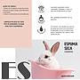 Specialcan espuma seca para roedores