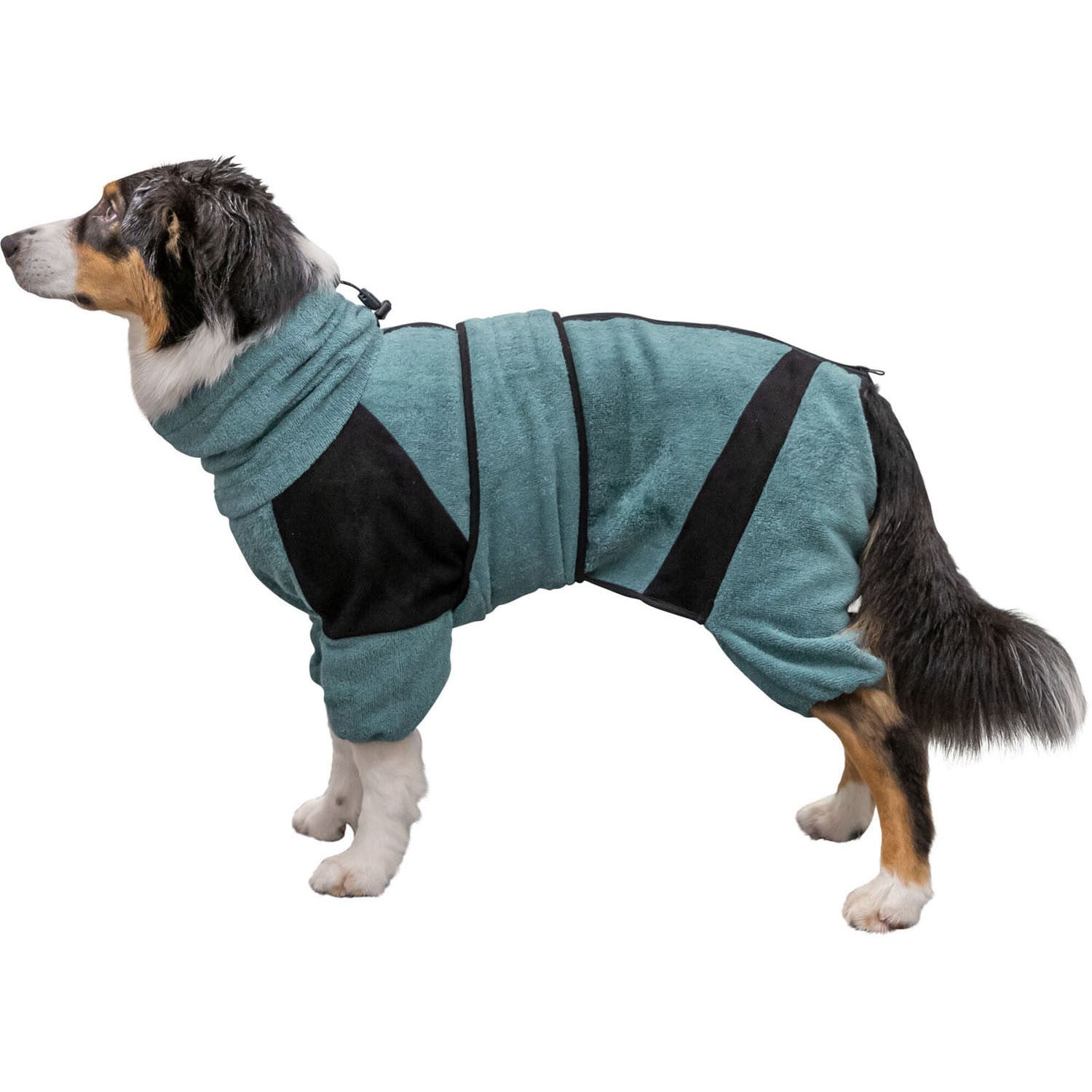 Albornoz y Mono de Hogar para perros