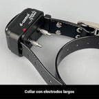 Collar Educativo Dogtrace 600 "Púlsar"
