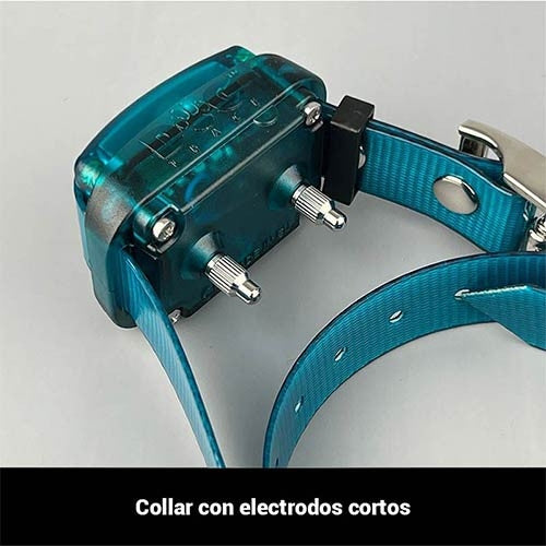Collar Educativo Dogtrace "Mini" 200