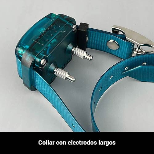 Collar Educativo Dogtrace "Mini" 200