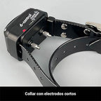 Collar Educativo Dogtrace 200 EASY