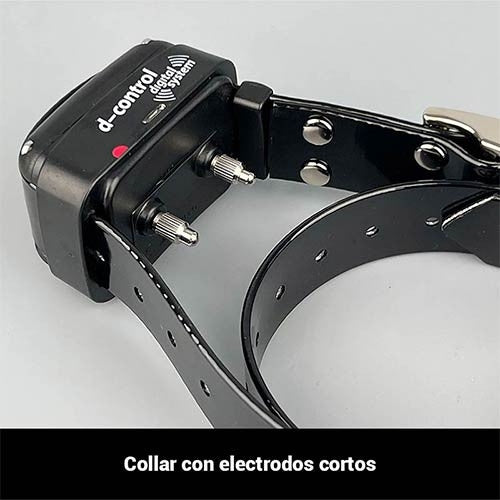 Collar Educativo Dogtrace 200 EASY