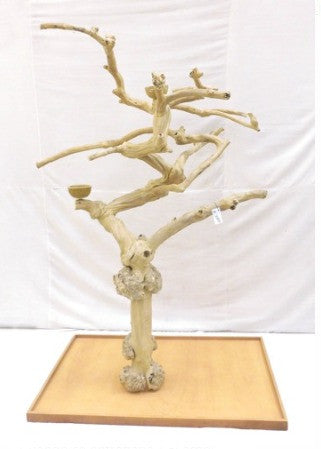 Java Tree BM