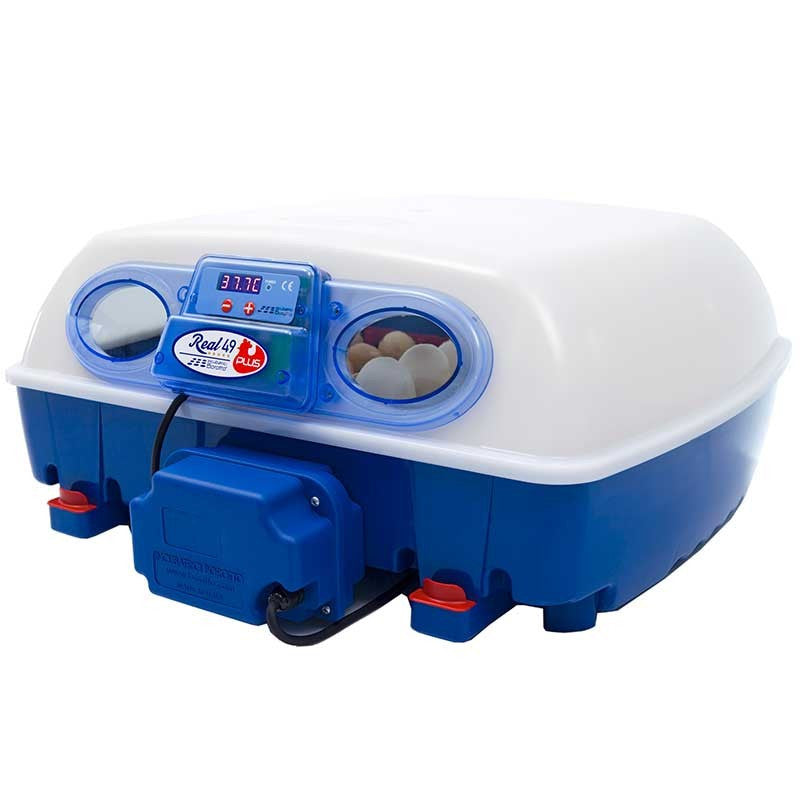 Incubadora REAL 49 Plus + Humidificador Sirio