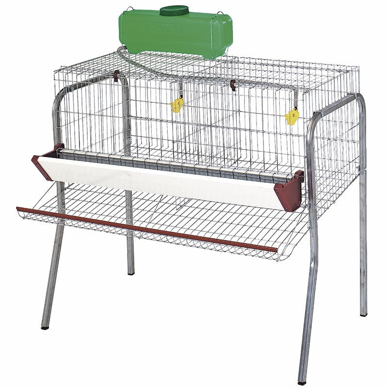 Batería de Gallinas Ponedoras 2 dpto