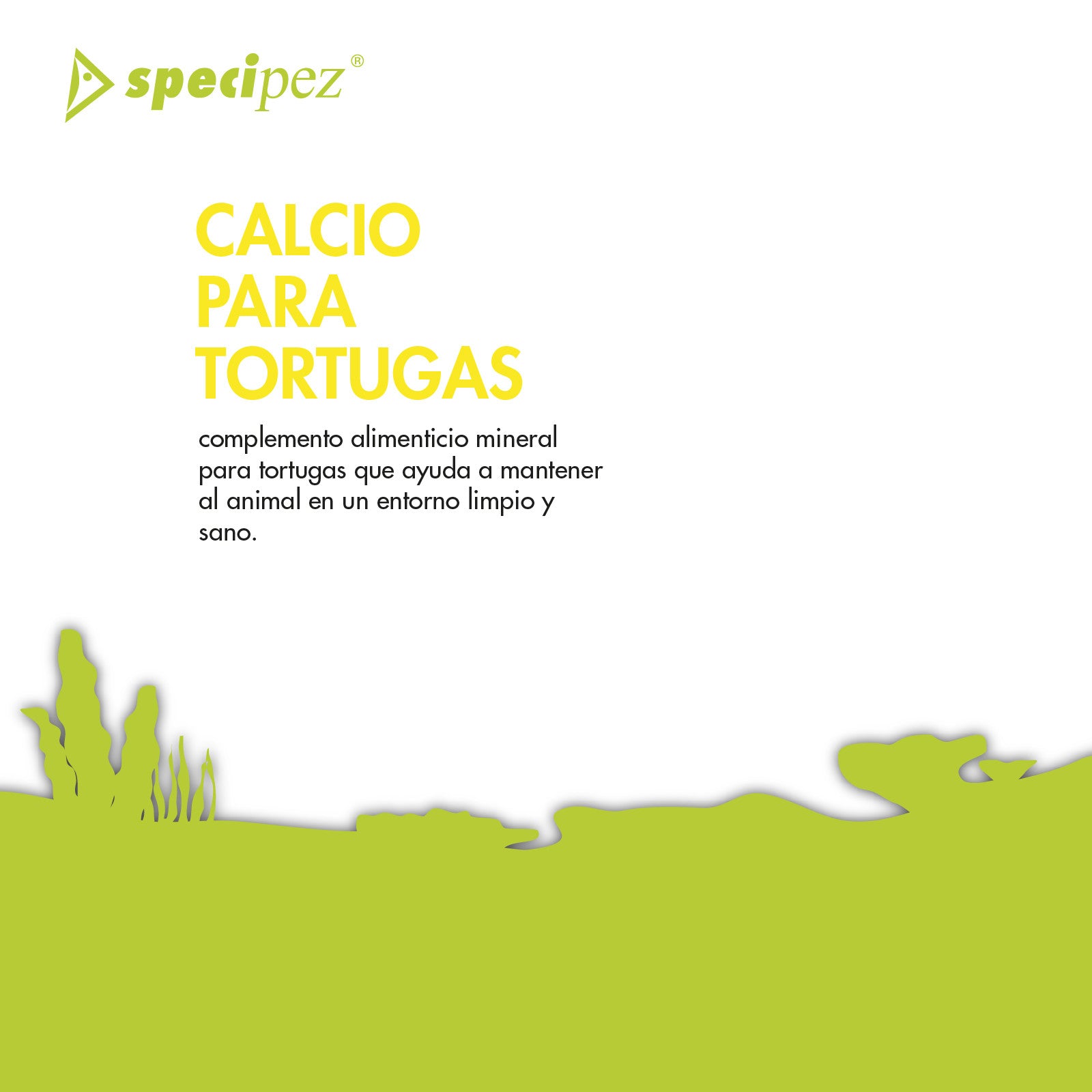 SPECIPEZ CALCIO TORTUGAS BACTERICIDA