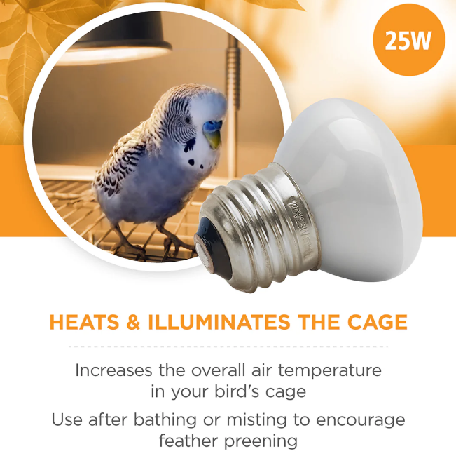 Bombilla Daytime Basking Light Vision - 25W
