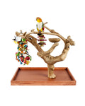 Java Mini Tree Small
