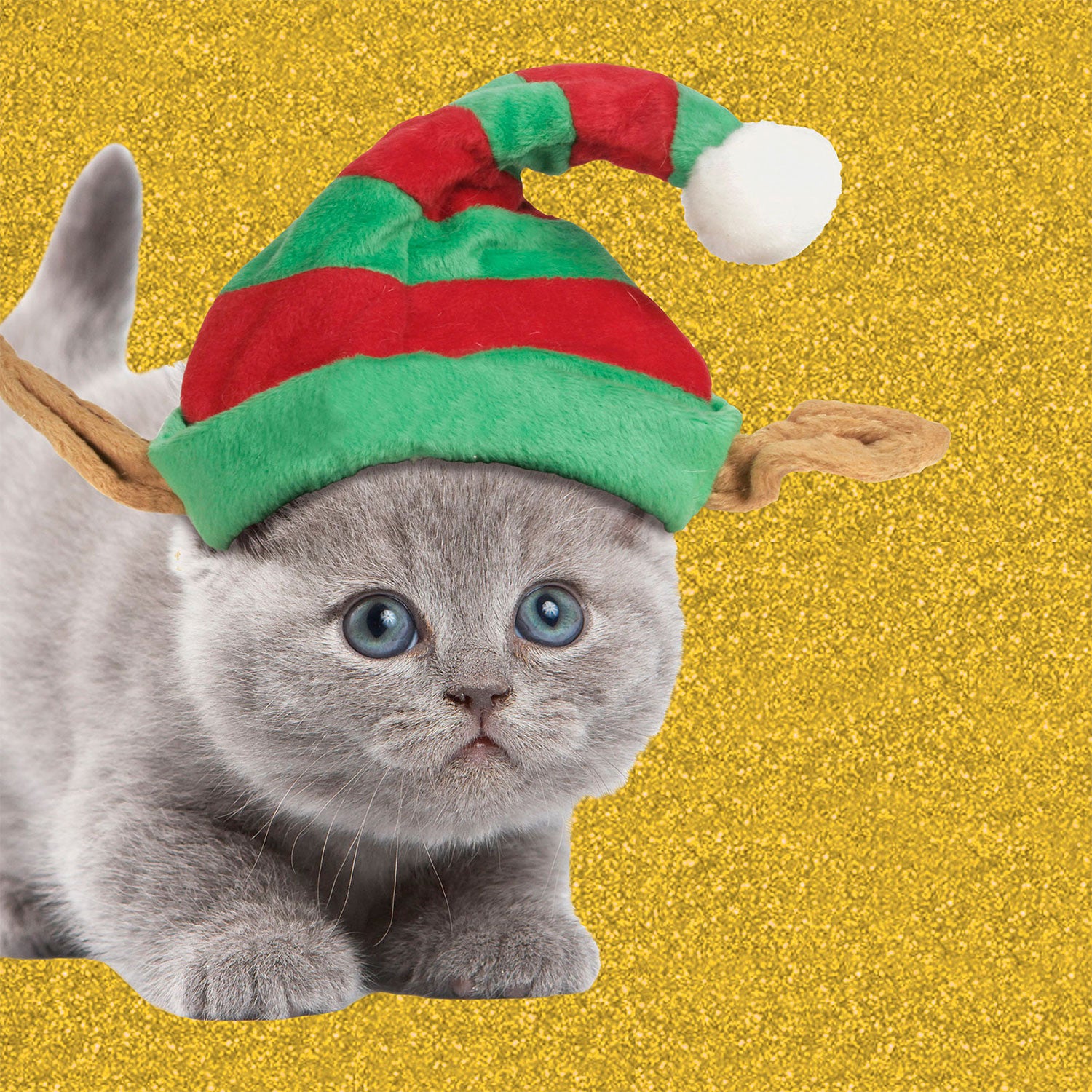 Tarjeta Gatito con Gorro de Navidad
