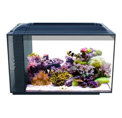Fluval Evo Acuario Marino, Negro, 52L