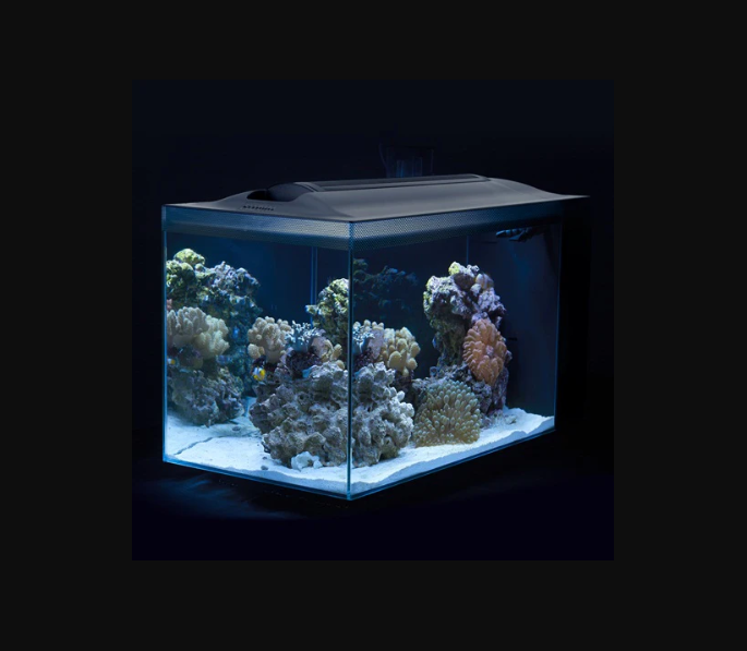 Fluval Evo Acuario Marino, Negro, 52L