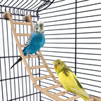Jaula Sofía IMAC con pie y ruedas para pájaros