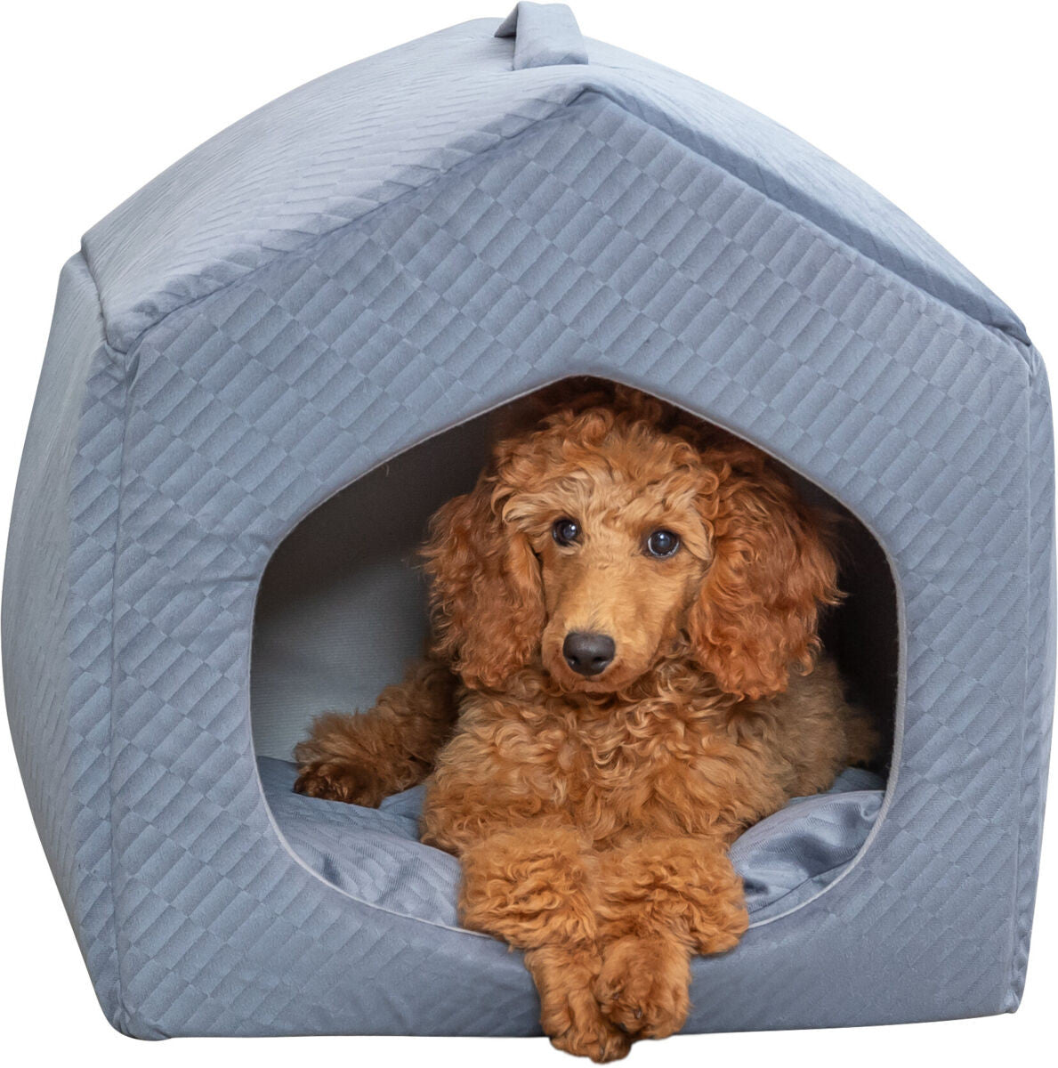 Cueva Alena Trixie para perros y gatos
