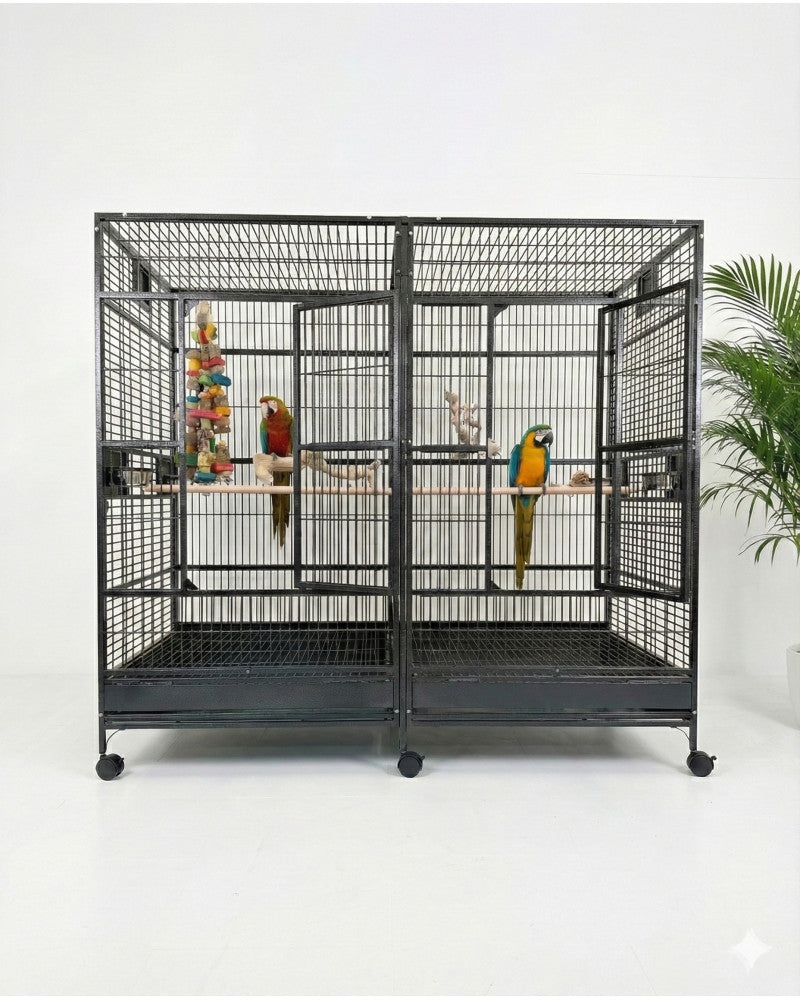 Jaula Loro Guacamayo Texas II