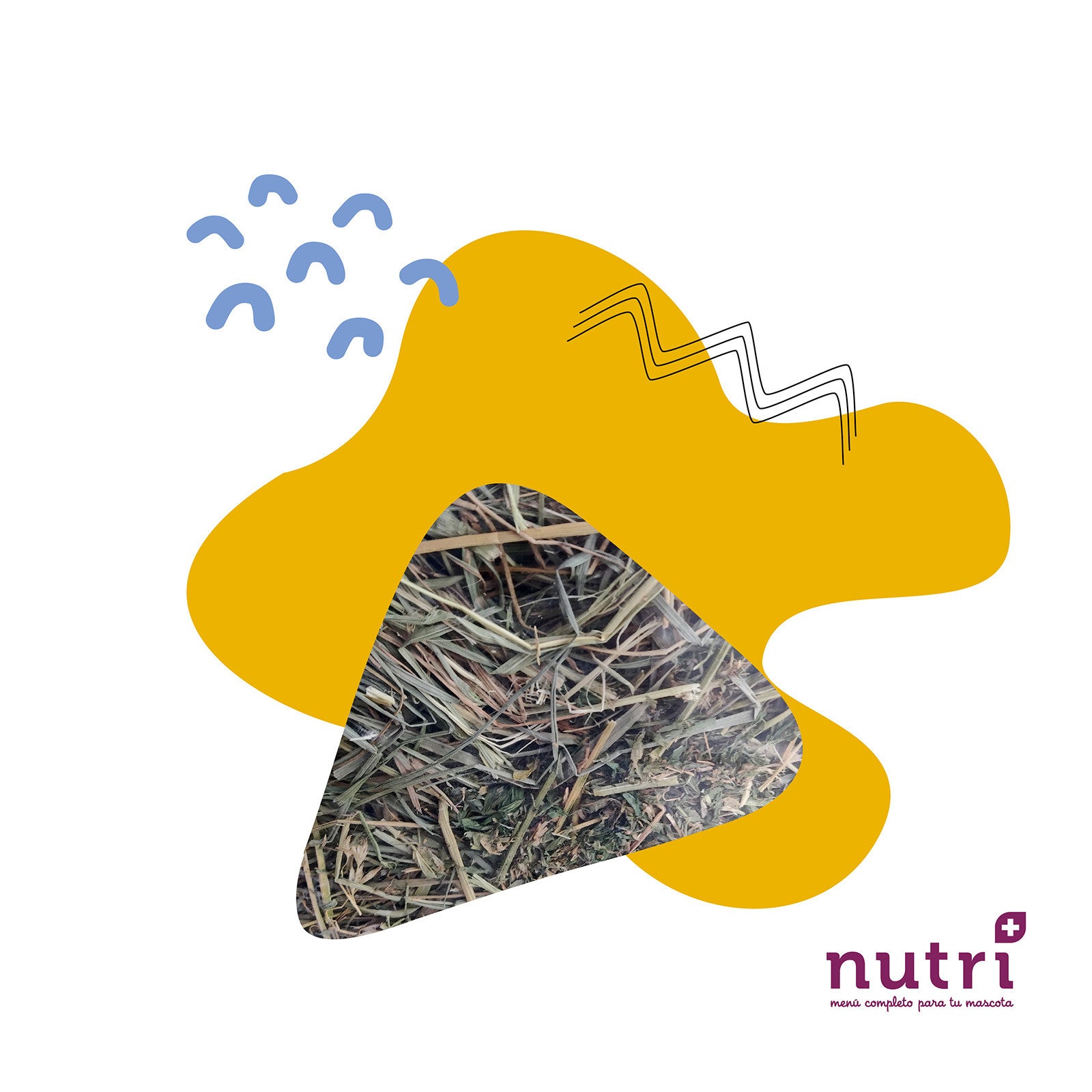 Nutriplus Heno con alfalfa 500gr